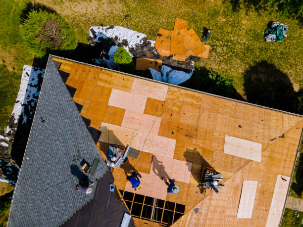 Quick and Trustworthy Emergency Roof Repair Services in San Bruno, CA